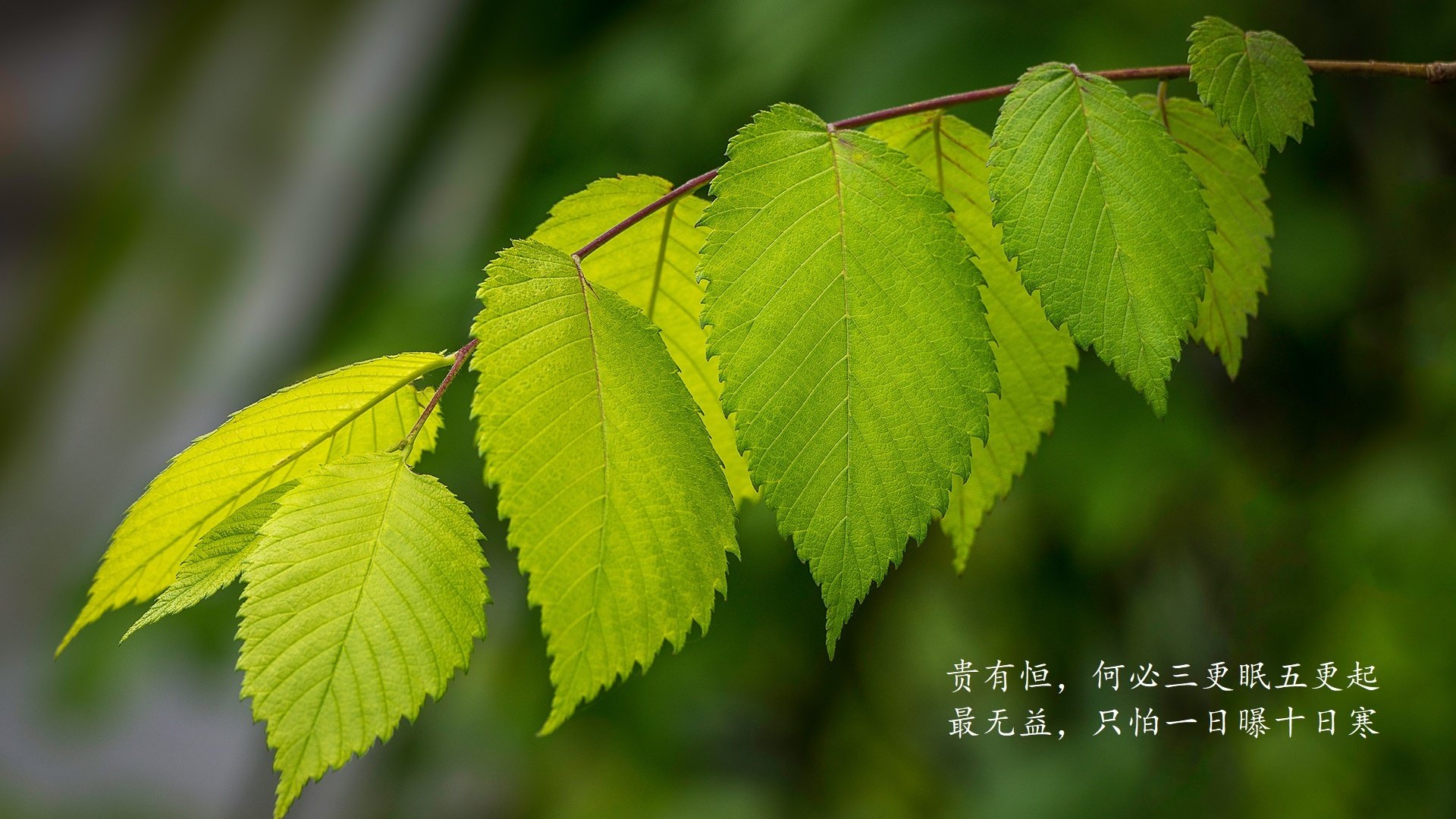 真丝面料有什么好处和坏处吗图片(真丝有什么好处和不好的)