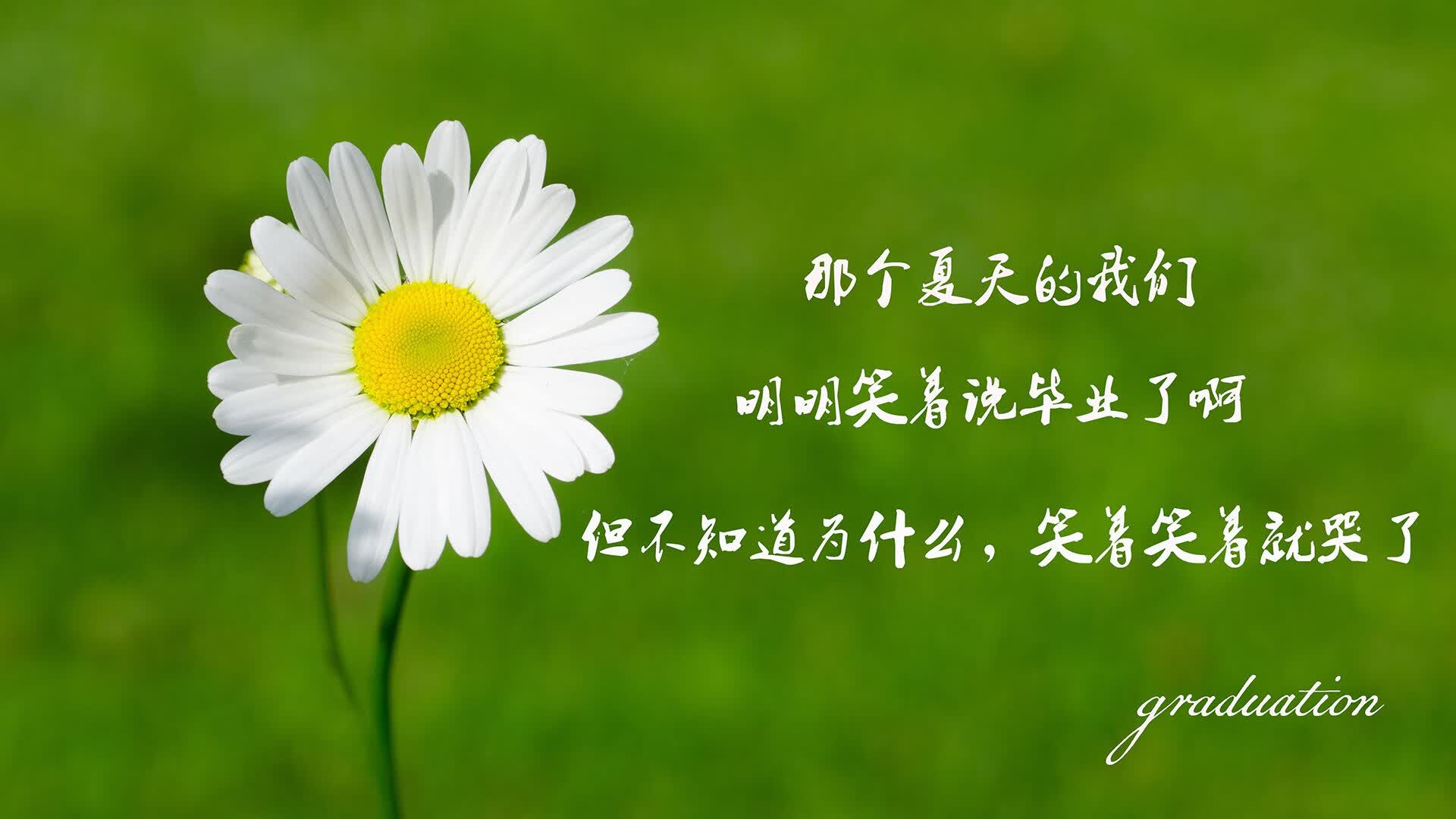 各种真丝面料的优缺点（9种常见的真丝面料）